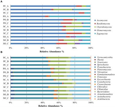 Effect of Low-Input Organic and Conventional Farming Systems on Maize Rhizosphere in Two Portuguese Open-Pollinated Varieties (OPV), “Pigarro” (Improved Landrace) and “SinPre” (a Composite Cross Population)